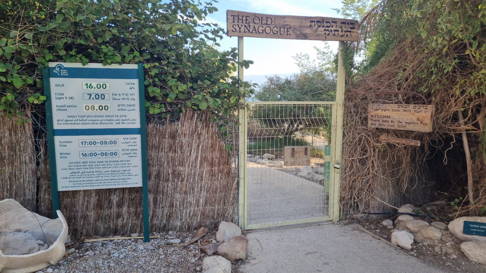 יום כיף בבית הכנסת העתיק בעין גדי